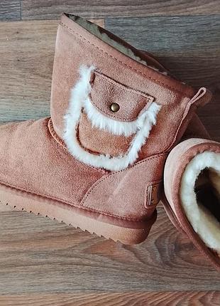 Жіночі черевики ugg коричневі замшеві