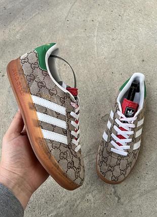 Кросівки adidas gucci