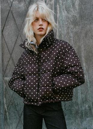Стьобаний анорак windproof