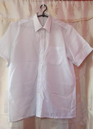 Чоловіча біла сорочка, короткий рукав, розмір l / xl