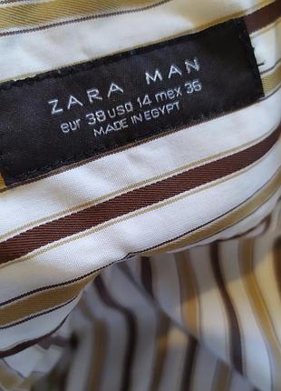 Мужская классическая рубашка от бренда zara в вертикальную коричневую и горчично-золотую полоску на белом фоне.