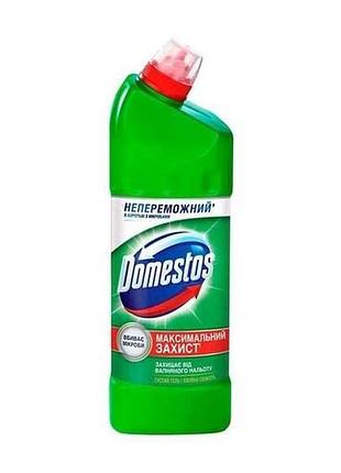 Гель для мытья унитаза 750мл хвойна свежесть 24 часа тм domestos