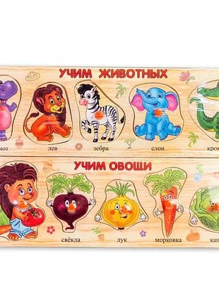 5515 деревянные фрукты пазл 2
