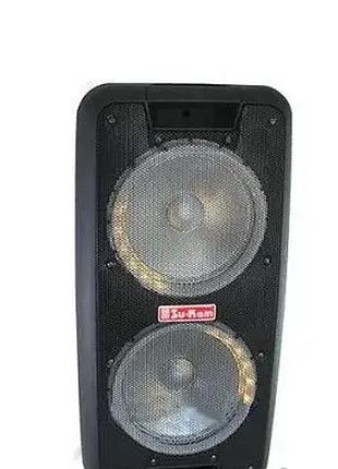 Портативная колонка su-kam 1010 2 микрофона с bt 12v/220v