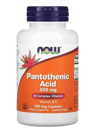 Now pantothenic acid 500 мг 100 капсул
