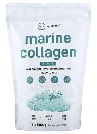 Micro ingredients marine collagen 454 g