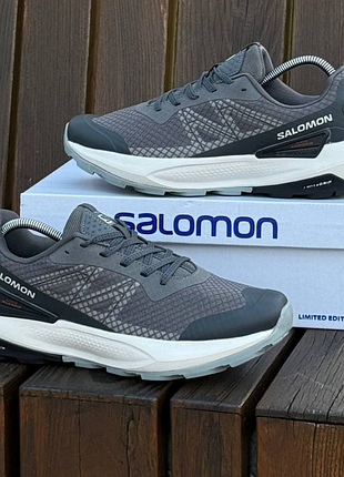 Salomon active chassis 5