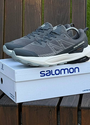 Salomon active chassis 6