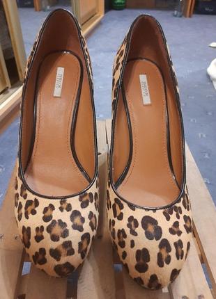 Туфли натуральная кожа леопардовый принт.1 фото