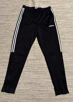 Чоловічі спортивні штани adidas