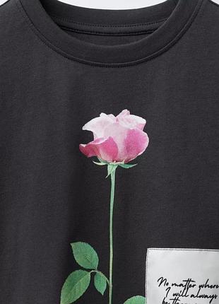 Реглан zara 12/13 років 3