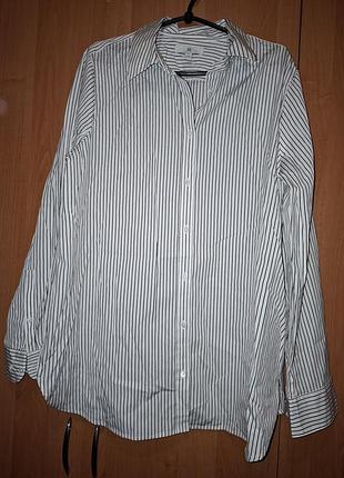 Женская рубашка в полоску banana republic (размер xl tall)