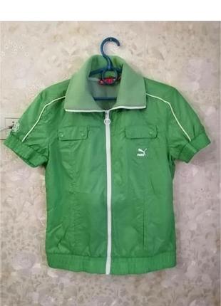 Puma літня вітровка