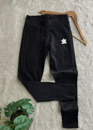 Велюрові лосини adidas 2