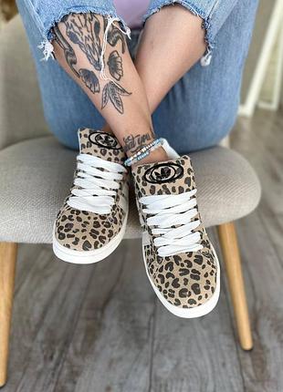 Adidas campus leopard | замшеві леопардові кеди | 36–39
