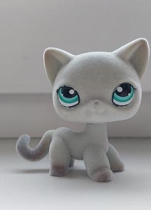 Lps литс пет шоп кошка стоячка кот петшоп littlest pet shop фигурки игрушки фигурка liitlest pet petshop lsp pet shops petshops