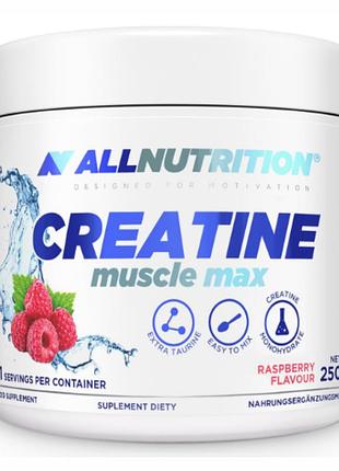 Creatine muscle max - 250g apple