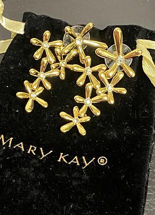 Сережки гвоздики mary kay 3