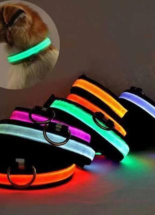 Светящийся на аккумуляторе usb glow ring (200 шт/ясть)
