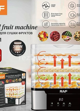 Дегидратор пищевой , сухожар r.6801 raf (6)