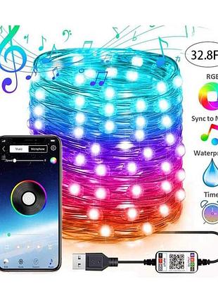 Розумна світлодіодна гірлянда роса м, led, rgb, bluetooth-керування