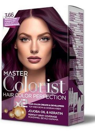 Краска master colorist для волос 3.66 баклажан 2x50 мл+2x50 мл+10 мл
