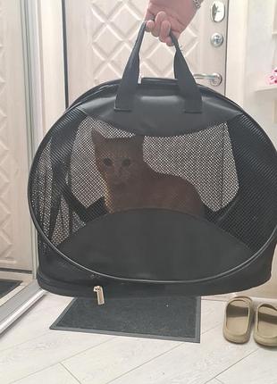 Сумка-переноска для котів
