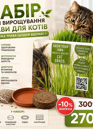 Набор для выращивания травы для котов cat grass grow kit | домашняя кошачья трава с семенами для проращивания