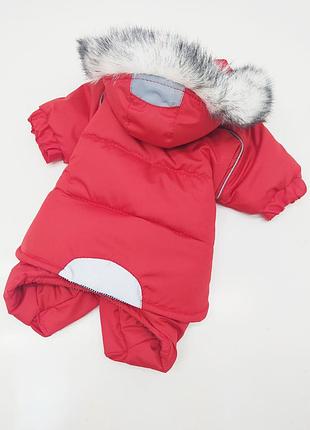 Комбинезон для собак актив 21х27 см 29х46, красный