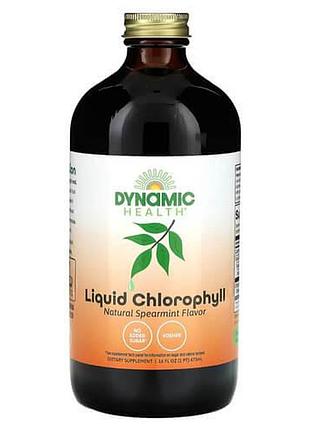 Dynamic health liquid chlorophyll 100 mg 473 ml