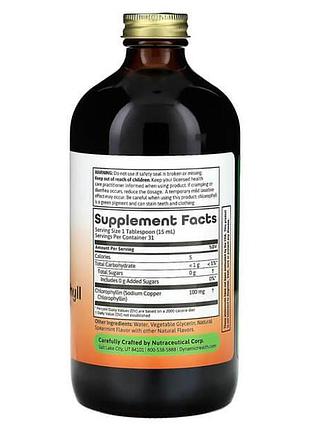 Dynamic health liquid chlorophyll 100 mg 473 ml 2
