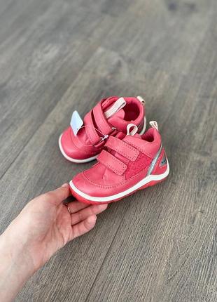Черевички шкіряні оригінал ecco biom mini рр.20