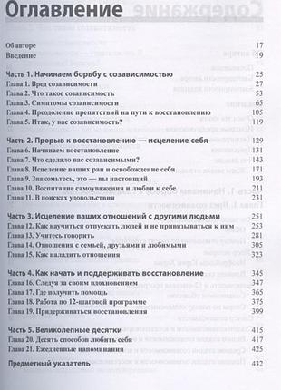 Книга ззалежність для чайників 2