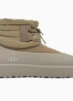 Бежеві черевики унісекс ugg classic mini lace-up beige х угг бутс 37