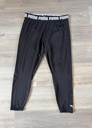 Лосіни puma