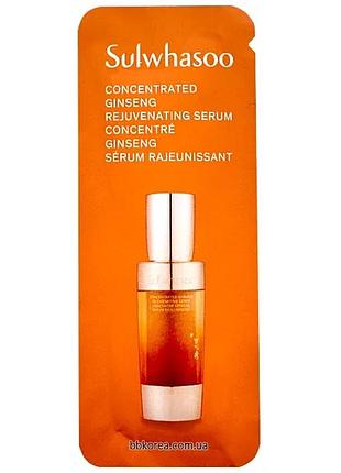 Обновляющая омолаживающая сыворотка с женьшенем пробник sulwhasoo concentrated ginseng rejuvenating serum