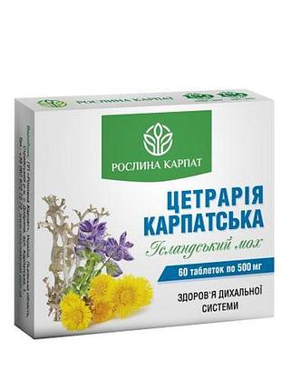 Цетрария карпатская рослина карпат 60 таблеток