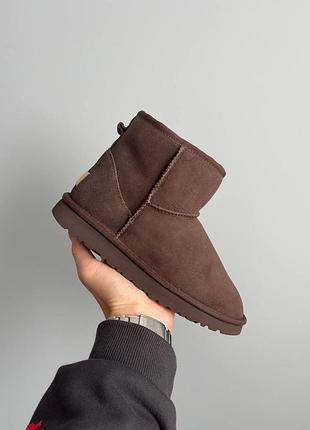 Натуральні уггі ugg classic mini brown chocolate