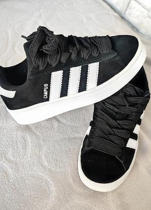 Кросівки adidas кампуси 2