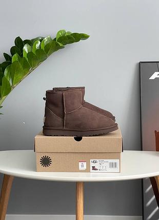Угги ugg classic mini brown 4