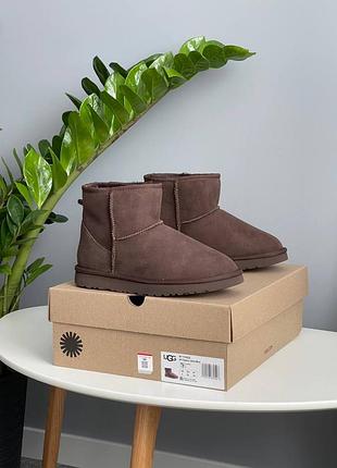 Угги ugg classic mini brown