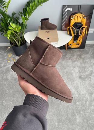 Угги ugg classic mini brown 2