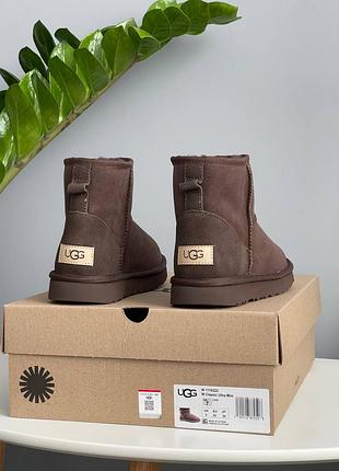 Угги ugg classic mini brown 5