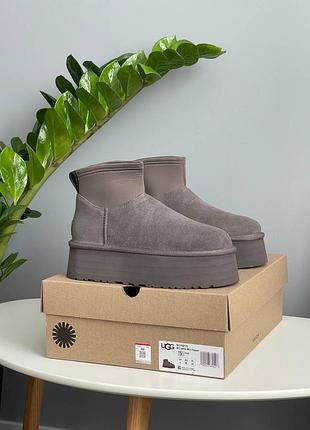 Угги ugg classic mini dipper grey 4