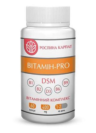 Вітамін pro рослина карпат 60 капсул
