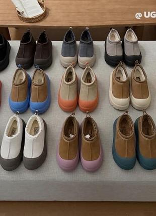 Уггі жіночі ugg різних кольорів