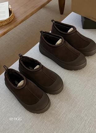 Уггі жіночі ugg різних кольорів 2
