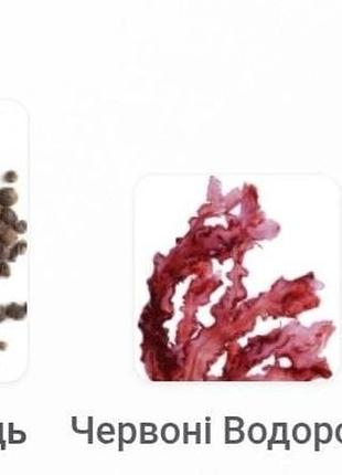 Парфуми genyum painter 35 ml 3