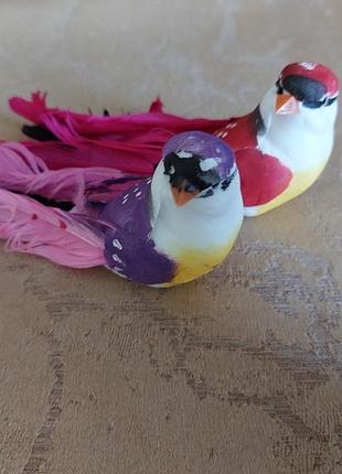 Декоративні елементи пара пташечок з магнітами