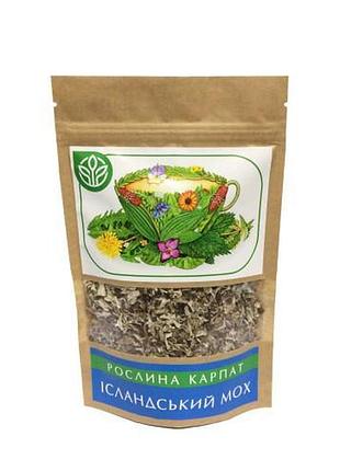 Исландский мох рослина карпат 45 гр